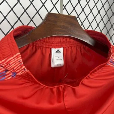 25-26 Universidad de Chile Away Shorts Football Trousers Soccer