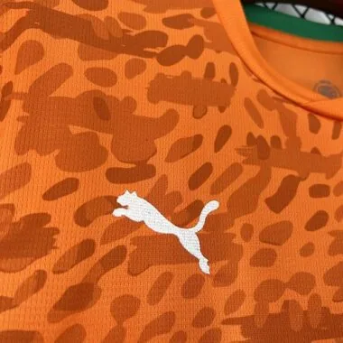 World Cup Jersey 2026 Ivory Coast Home Kit Soccer T-Shirt