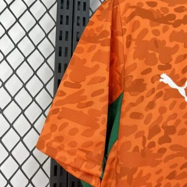 World Cup Jersey 2026 Ivory Coast Home Kit Soccer T-Shirt