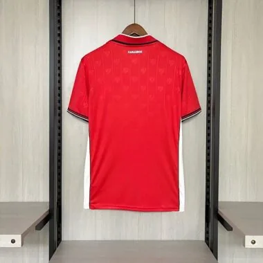 World Cup Jersey 2026 Panama Home Kit Soccer T-Shirt