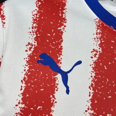 World Cup Jersey 2026 Paraguay Home Kit Soccer T-Shirt