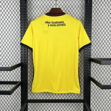 World Cup Jersey 2026 Ecuador Home Kit Soccer T-Shirt