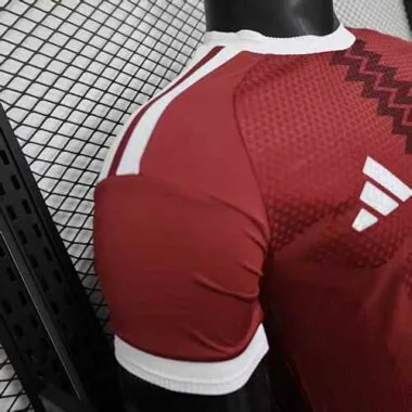 World Cup Jersey 2026 Qatar Home Kit Player Version Soccer T-Shirt