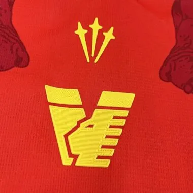 Camiseta de fútbol del kit de la edición especial «25-26 Venezia»