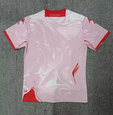 23-24 Fiorentina Fouth Kit Size:S-XXL Jersey