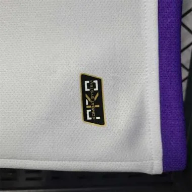 22-23 Fiorentina away