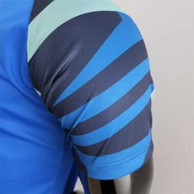 22-23 Inter Milan blue POLO