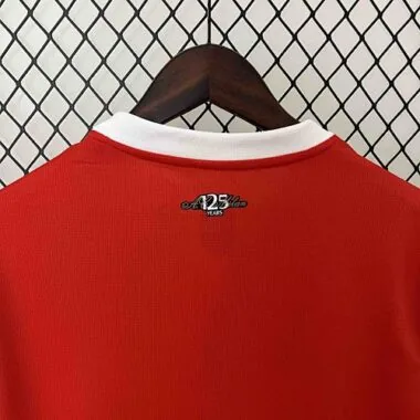 24-25 AC Milan Home Kit Soccer Uniform S-4XL