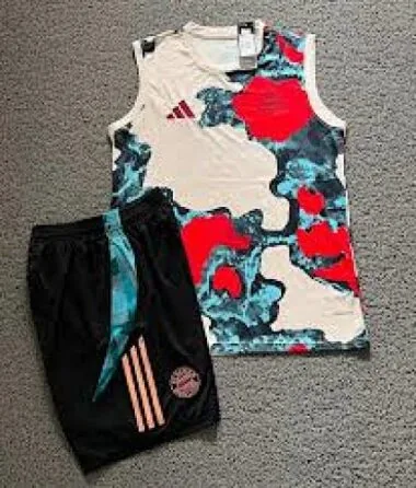 25-26 Bayern Munich Training Kits Football Vest Suits