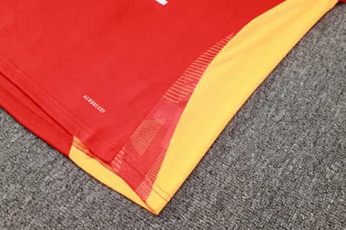 24-25 Bayern Munich Red Training Soccer AAAAJersey Yupoo