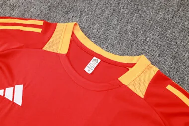 24-25 Bayern Munich Red Training Soccer AAAAJersey Yupoo