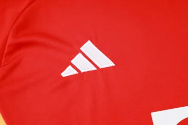 24-25 Bayern Munich Red Training Soccer AAAAJersey Yupoo