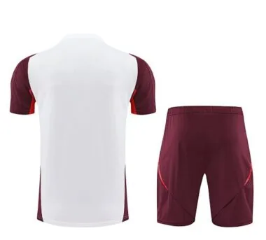 24-25 Bayern Training Soccer Jerseys Football Shirts