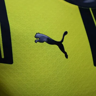 24-25 Borussia Dortmund Cup Jersey Player Version Shirt Soccer