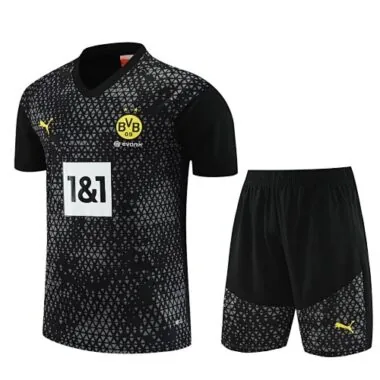 23-24 Dortmund Training Soccer Jerseys Yupoo(2)