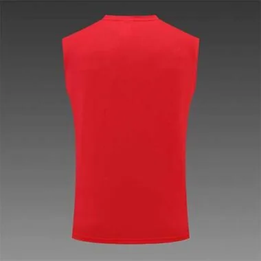 22-23 Bayern vest training suit kit red