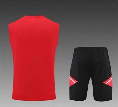 22-23 Bayern vest training suit kit red