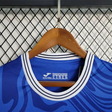 23-24 Hoffenheim home
