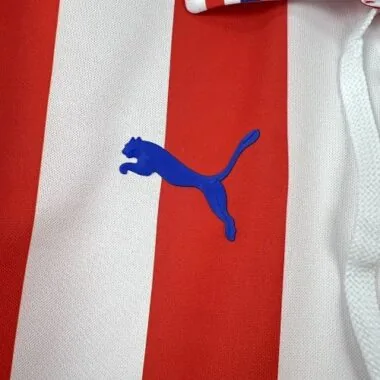 16-17 Chivas Home Kit Retro Soccer T-Shirt