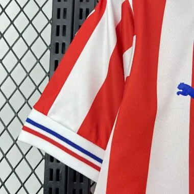 16-17 Chivas Home Kit Retro Soccer T-Shirt