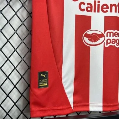 24-25 Chivas Guadalajara Home Kid Kits Youth Apparels AAAAJersey Wholesale Yupoo