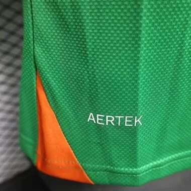 25-26 Celtic Special Edition Kit Player Version Soccer T-Shirt AAAAJersey Supply Yupoo