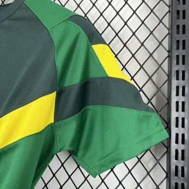 24-25 Celtic Special Edition Soccer AAAAJersey
