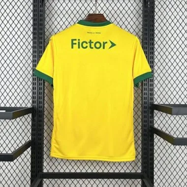 25-26 Palmeiras Third Kit Soccer T-Shirt