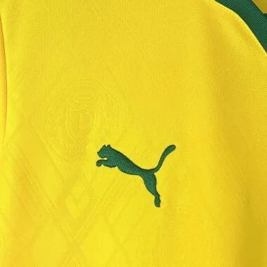 25-26 Palmeiras Third Kit Soccer T-Shirt