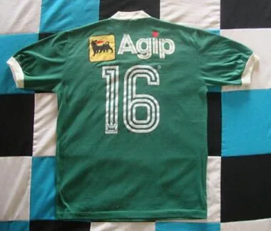 87-88 Palmeiras Home Retro Soccer
