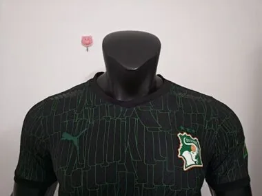 2026 Ivory Coast Special Edition Kit Player Version Soccer T-Shirt