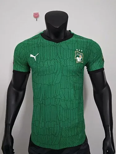 2026 Ivory Coast Green Special Edition Kit Player Version Soccer T-Shirt AAAAJersey Supply Yupoo