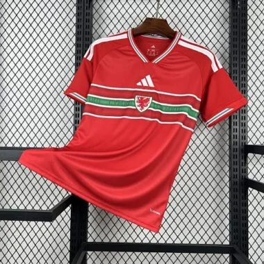 World Cup Jersey 2026 Wales Home Kit Soccer T-Shirt AAAAJersey Supply Yupoo