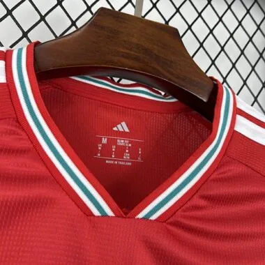World Cup Jersey 2026 Wales Home Kit Soccer T-Shirt