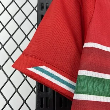 World Cup Jersey 2026 Wales Home Kit Soccer T-Shirt