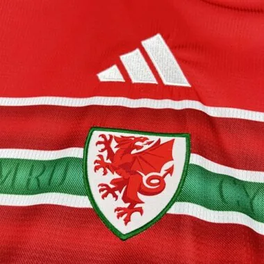 World Cup Jersey 2026 Wales Home Kit Soccer T-Shirt