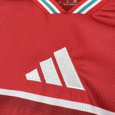 World Cup Jersey 2026 Wales Home Kit Soccer T-Shirt