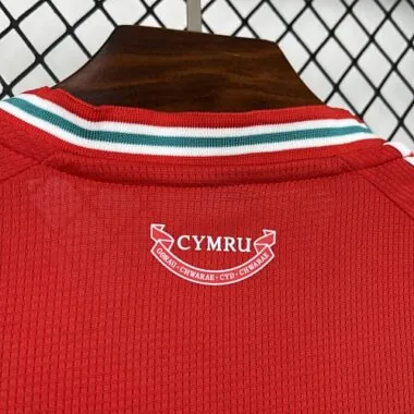 World Cup Jersey 2026 Wales Home Kit Soccer T-Shirt