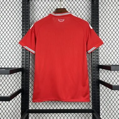 World Cup Jersey 2026 Wales Home Kit Soccer T-Shirt