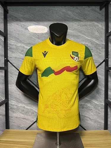2026 Benin Special Edition Kit Player Version Soccer T-Shirt