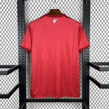 2025 Cape Verde Third Kit Soccer T-Shirt