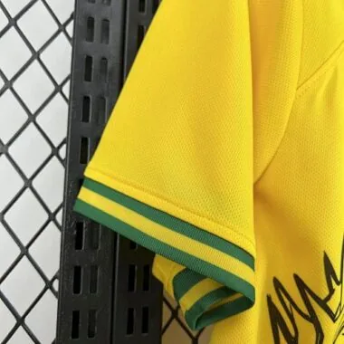 2025 Brazil Special Edition Kit Soccer T-Shirt