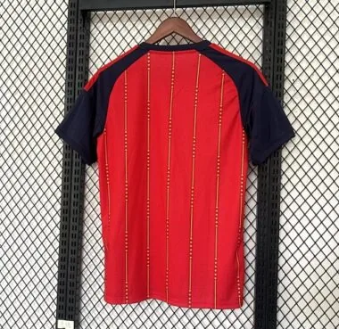 World Cup Jersey 2026 Spain Home Kit Soccer T-Shirt
