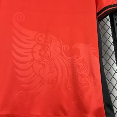 2025 Albania Home Kit Soccer