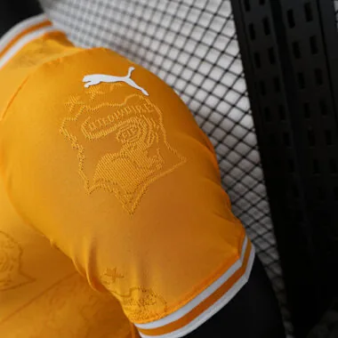 2024 Ivory Coast Orange Kit Special Edition Player Version Soccer