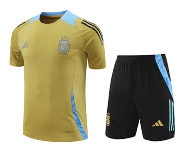 2024 Argentina Training Soccer Jerseys Football Shirts(3)