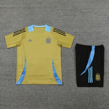 2024 Argentina Training Soccer Jerseys Football Shirts(3)