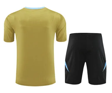 2024 Argentina Training Soccer Jerseys Football Shirts(3)