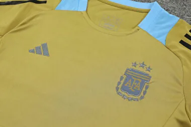 2024 Argentina Training Soccer Jerseys Football Shirts(3)