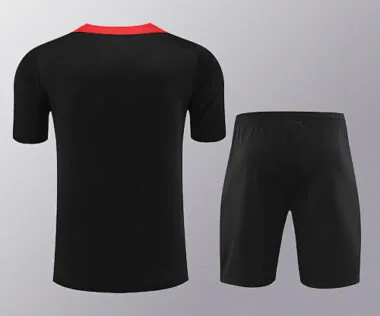 2024 Portugal Training Soccer Jerseys Football Shirts
